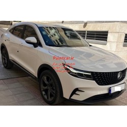 دیگنیتی DIGNITY کد رنگ TS2T344 ( پرایم و پرستیژ) سفید پک قلم خشگیری و ترمیم رنگ اتومبیل