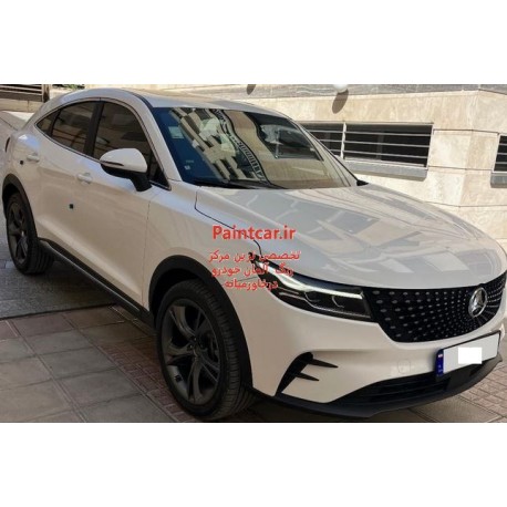 دیگنیتی DIGNITY کد رنگ TS2T344 ( پرایم و پرستیژ) سفید پک قلم خشگیری و ترمیم رنگ اتومبیل