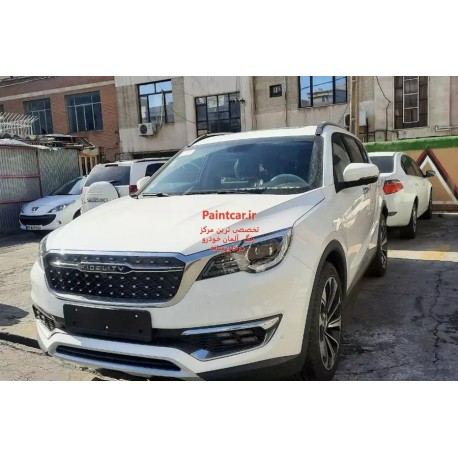 فیدلیتی کد رنگ TS2T344 سفید پک خشگیری و ترمیم رنگ اتومبیل