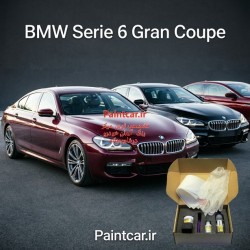 پک قلم خشگير بی ام و سری 6 گرن کوپهBMW آبي عقيق متاليک WS11