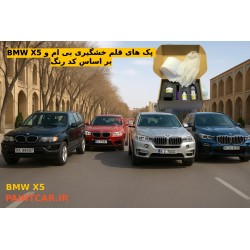 پک قلم خشگير بی ام و ایکس 5 BMW X5 سبز درياي عميق صدفي WP75 | خريد و قيمت اورجينال