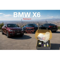 پک قلم خشگیر بی ام و سری X6 قهوه‌ای مجاوی مات F35