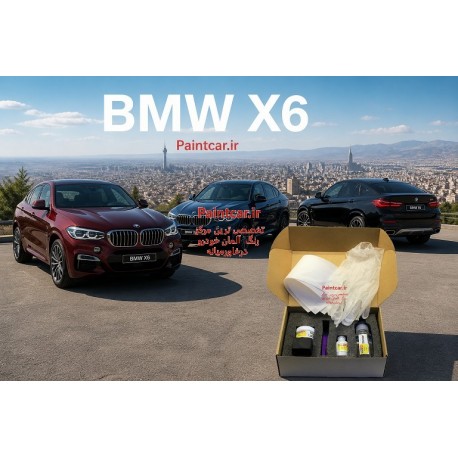 پک قلم خشگیر بی ام و سری X6 نقره‌ای اوریون مات F39